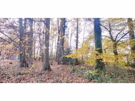 terrain neauphle-le-château (78)