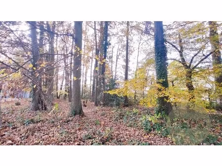 rare ! terrain constructible à neauphle-le-château