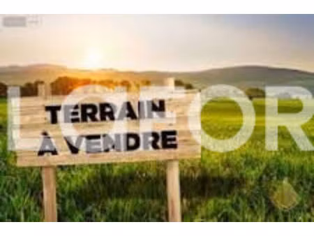 terrain beaumont de lomagne 1558 m2