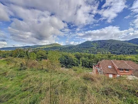 vente terrain 1429 m² wisches (67130)