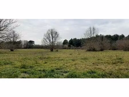 terrain constructible à vendre