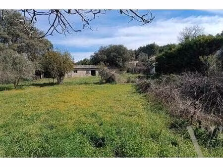 terrain constructible viabilisé à vendre