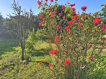 argelès sur mer  belle opportunité : terrain prêt à bâtir d