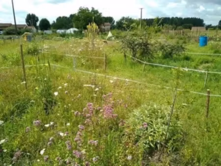 vente terrain 715 m² à saint-front-de-pradoux (24400)  20 000 €