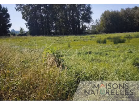 vente terrain 1273 m² à campagne-lès-hesdin (62870)  47 000 €