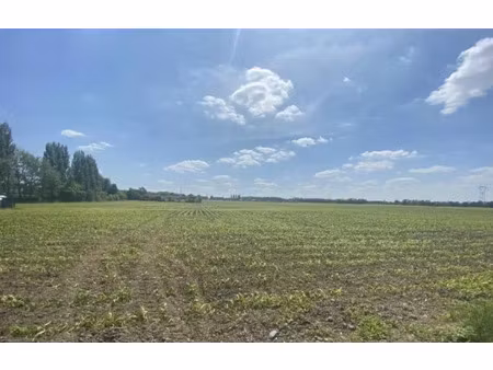 vente terrain 555 m² à auby (59950)  52 500 €