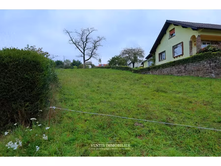 vente terrain 993 m² à dannelbourg (57820)  53 000 €