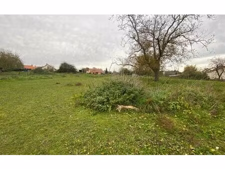 terrain saint-léger-des-vignes m² t- à vendre  58 000 €