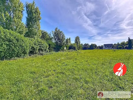 vente terrain 3456 m² à arbonne-la-forêt (77630)  238 700 €
