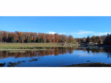 vente terrain 73858 m² leval (90110)