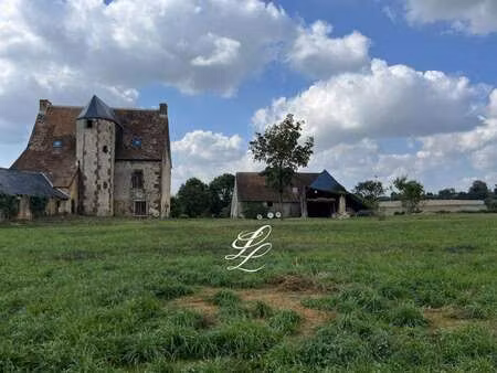 vente maison à domfront-en-champagne (72240) : à vendre / 250m² domfront-en-champagne