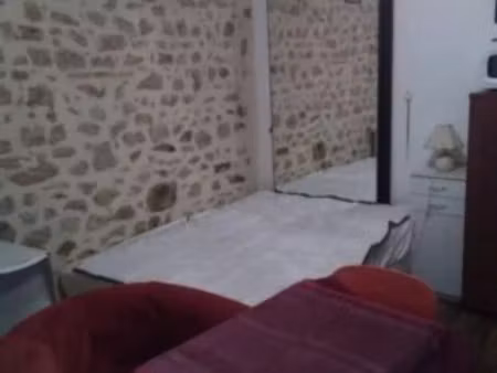 location meublée appartement 1 pièce 25 m² à magnac-laval (87190)  310 €