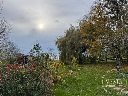 chassigny (52190) - viager occupé - chalet et parc arboré