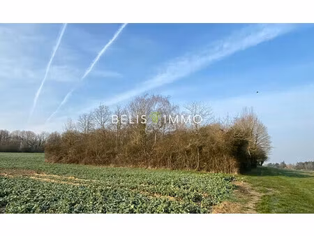 parcelle de bois - amboise 2290 m²