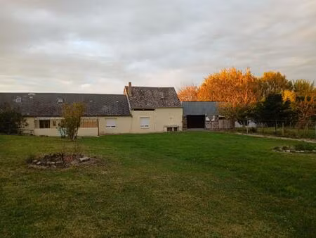 idéal pour les passionnés de bricolage et de jardinage