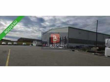 local d'activités à louer