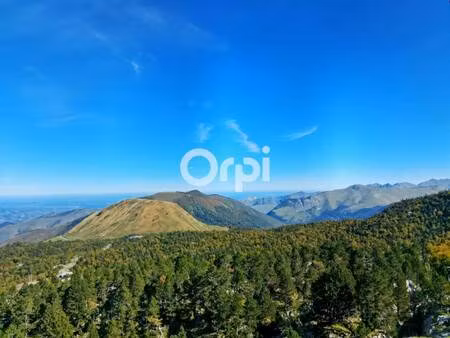 oloron immobilier & vallées