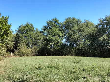 joli terrain de 2800m2   sans vis à vis  20 min d'auch