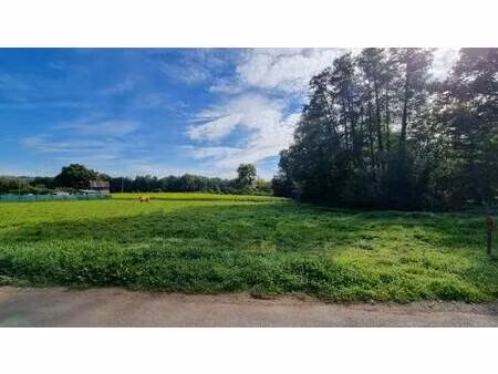 terrain constructible à vendre