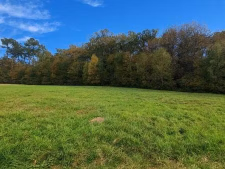 terrain constructible viabilisé à vendre