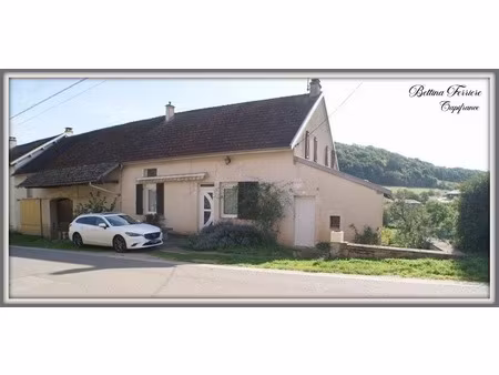 maison en pierre rénovée avec dépendances et jardin clos