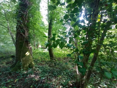 terrain forestier à nogent-le-phaye