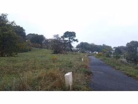 vente terrain à saumur (49400) : à vendre / 713m² saumur