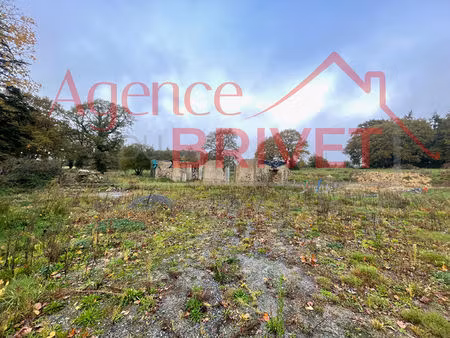 maison en pierre à rénover