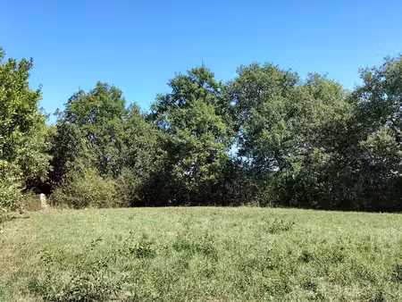 joli terrain de 2800m2   sans vis à vis  20 min d'auch