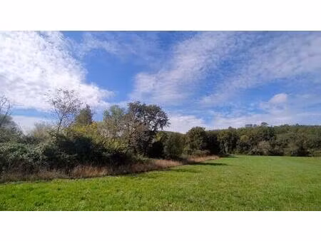 2 terrains à bâtir arborés