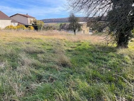 terrain constructible