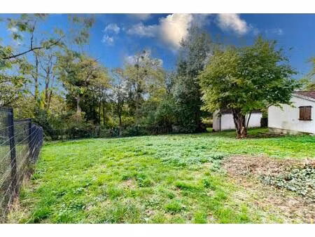 terrain constructible