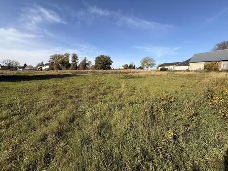 terrain constructible