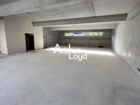 local d'activite - atelier a louer