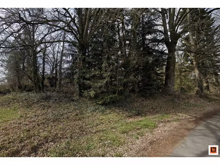 terrain constructible