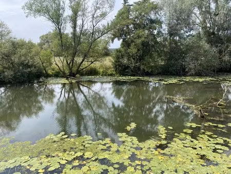 chalet en bord de rivière