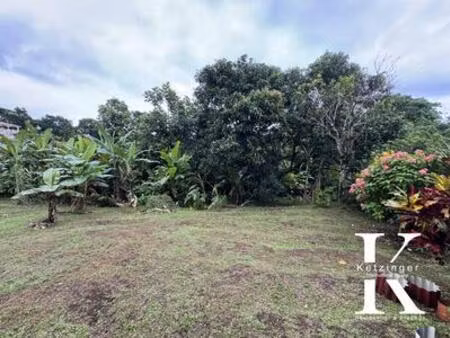 terrain à vendre la trinité  martinique