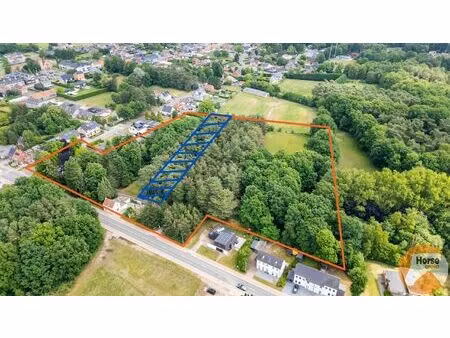 beringen - ruime woning + projectgrond