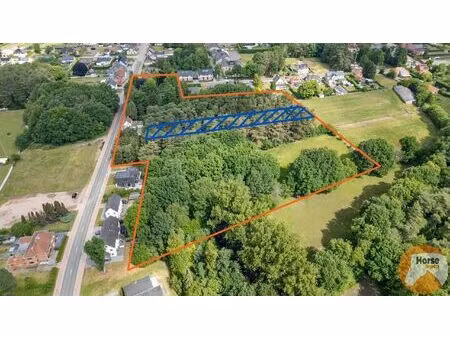 beringen - projectgrond