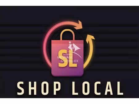 location commerce 35 m² à dinan (22100)