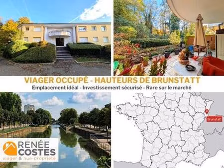 viager occupé - f82 ans - brunstatt (68350)