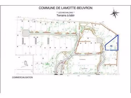 achat terrain 1 363m² lamotte beuvron 41600