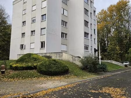 vente appartement t1 à châtillon-sur-seine (21400) : à vendre t1 / 32m² châtillon-sur-sein