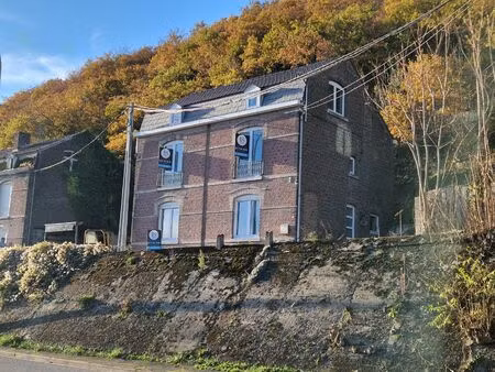 maison à vendre à rue mallieue 226 saint-georges-sur-meuse (vbd50129)