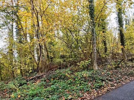 terrain à vendre à moha € 55.000 (lgx8e) - comptoir foncier | zimmo