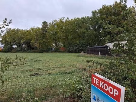 terrain à vendre à overpelt € 175.000 (lgy2g) - raf beenders | zimmo