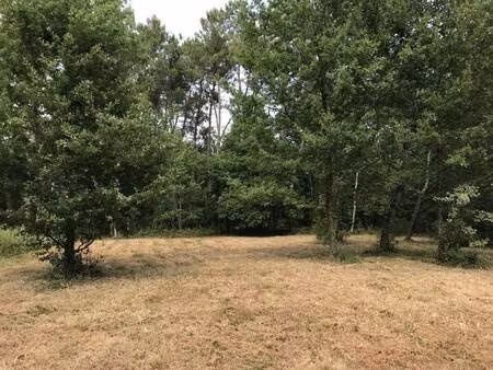 terrain constructible à vendre
