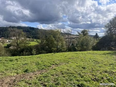 terrain 2475 m² poule-les-écharmeaux