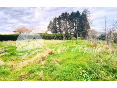 terrain à bâtir viabilisé et arboré