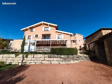 terrain 270 m² saint forgeux